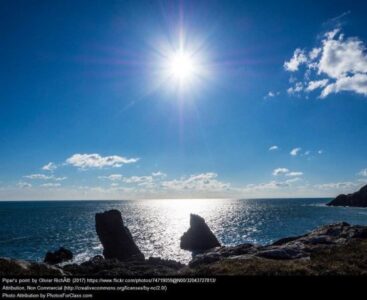 Earth Law Center Officially Launches Ocean Rights Framework Image